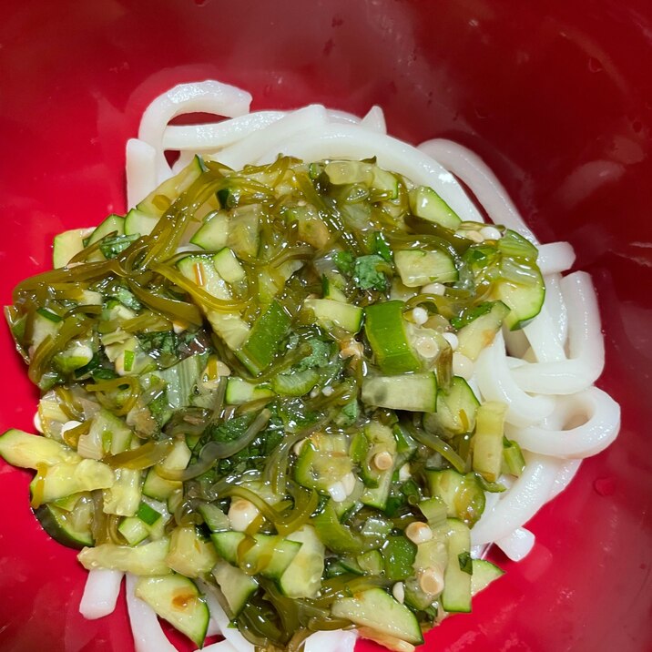山形だしうどん